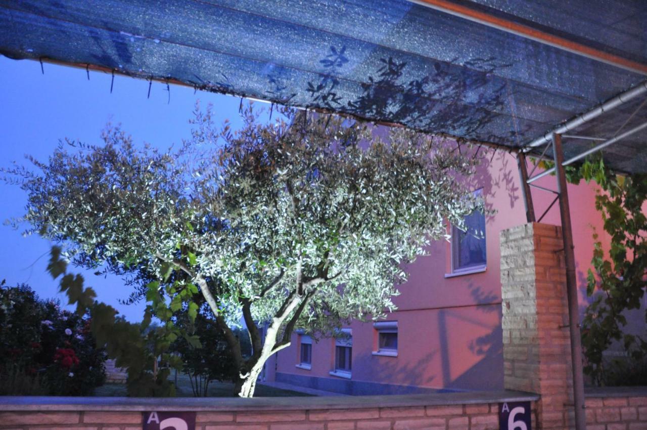 Apartments Rosa Ουμάγκ Εξωτερικό φωτογραφία