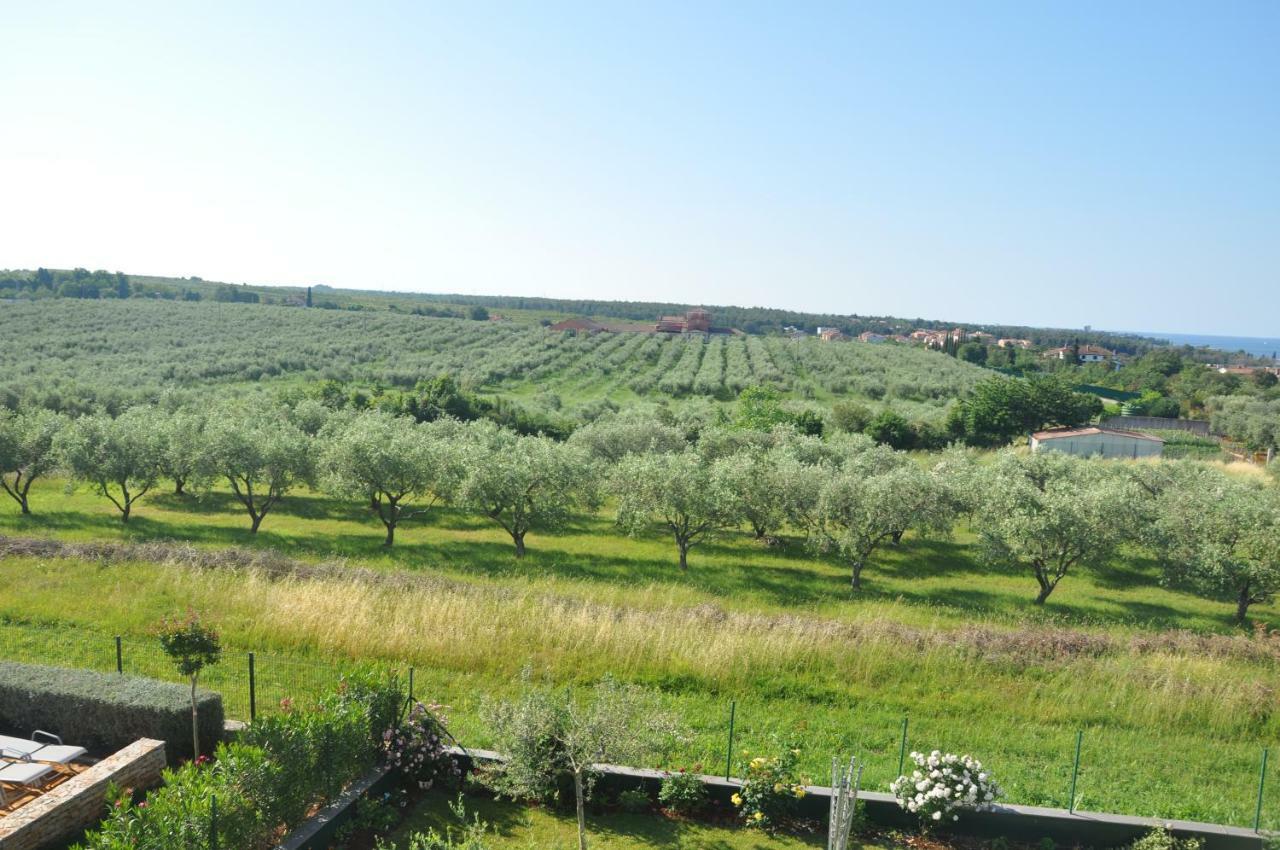 Apartments Rosa Ουμάγκ Εξωτερικό φωτογραφία